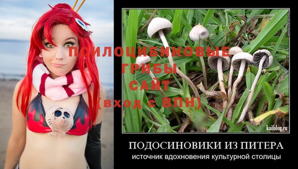 Альфа ПВП Горняк